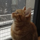 新里さんちの良い子<br />初めて雪を見てビックリしています